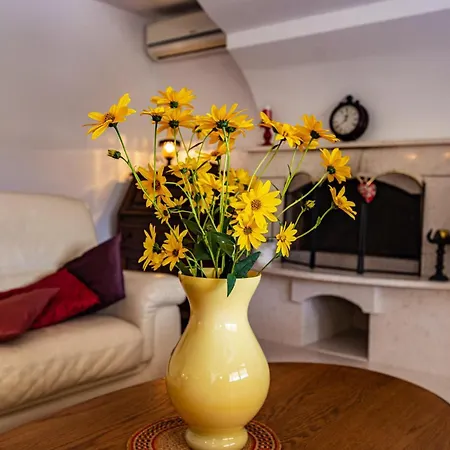 Pax Maris Vakantiehuis *